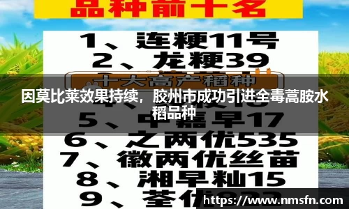 因莫比莱效果持续，胶州市成功引进全毒蒿胺水稻品种