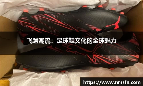 飞蹬潮流：足球鞋文化的全球魅力