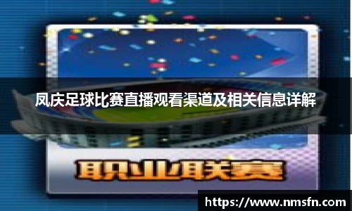 凤庆足球比赛直播观看渠道及相关信息详解