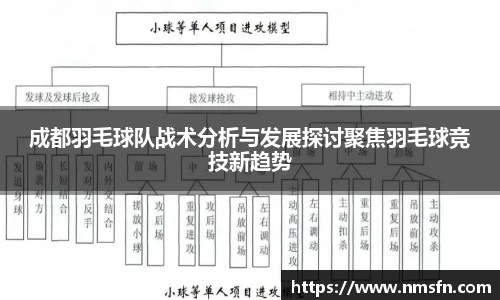 成都羽毛球队战术分析与发展探讨聚焦羽毛球竞技新趋势