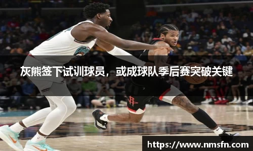 灰熊签下试训球员，或成球队季后赛突破关键